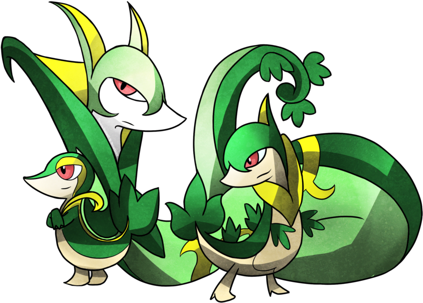 Png - Pokemon Snivy (900x675)