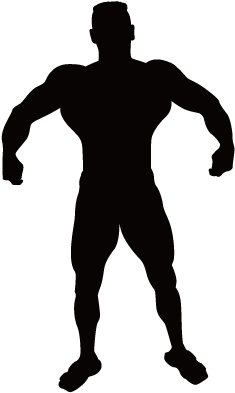 Vitruvian Man Silhouette Muscle Clip Art - Fit Man Silhouette Vector (721x407)