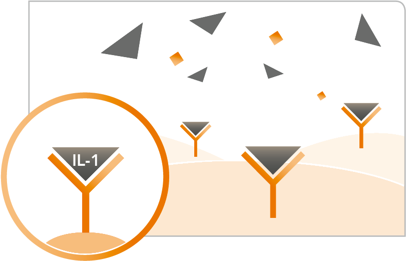 Situation In The Joint - Veterinary Physician (863x567)