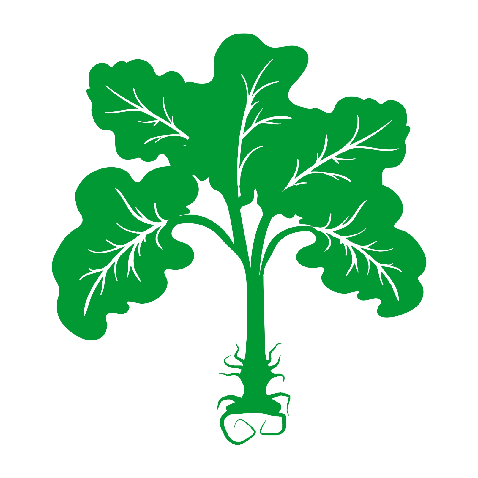 Frank Polizzi (1609x1609)