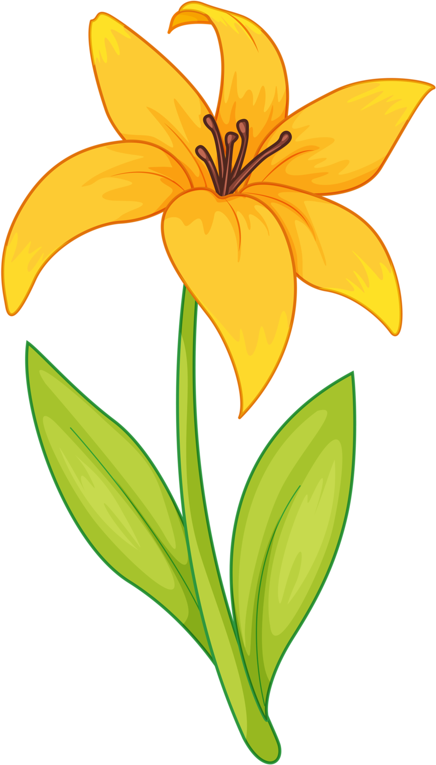 18266205 [преобразованный] - Portable Network Graphics (2111x3609)