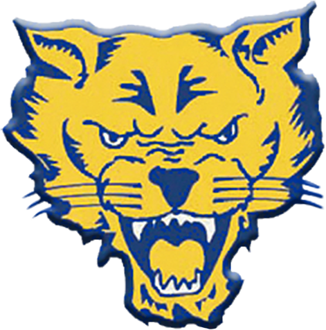 Home Home - Fort Valley State University Mascot (500x498)