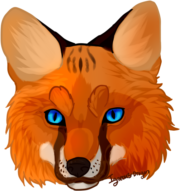 Fox Clipart Fox Face - Fox Face Png (599x635)