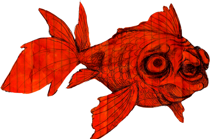 Creeper Fish By Aliethekitsune - Fish (737x477)