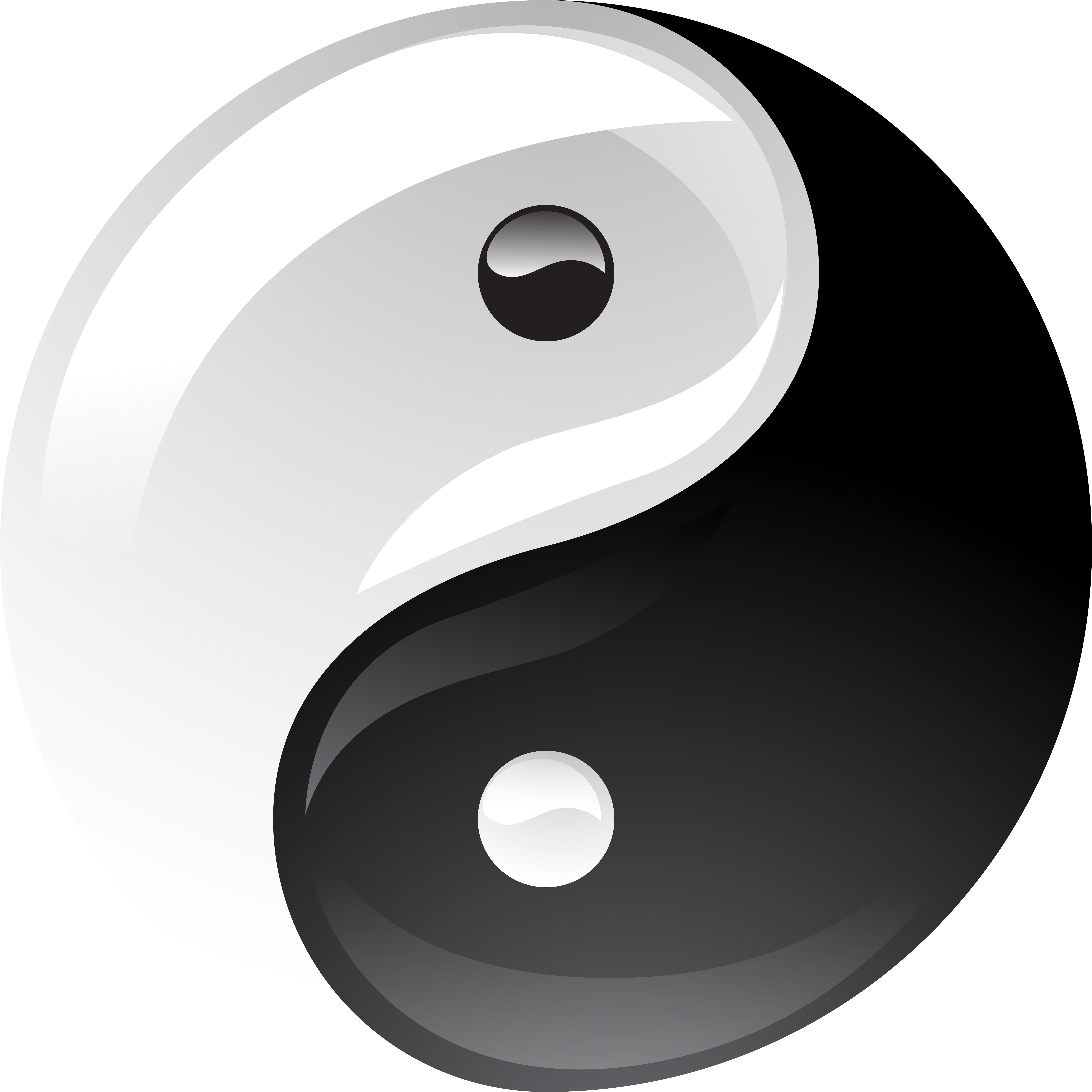 Find This Pin And More On Yin Yang By Adolfo3413 - Find This Pin And More On Yin Yang By Adolfo3413 (8000x8000)