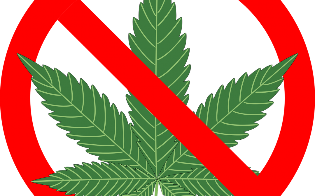 Are Cannabis Laws Paternalistic - Reasons Not To Smoke Marijuana: The Complete (1080x675)