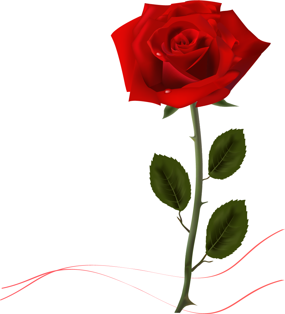 Rose Desktop Wallpaper Clip Art - Rose Desktop Wallpaper Clip Art (993x1093)