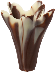 Marbled Chocolate Small Lilies - Flowerpot (384x384)