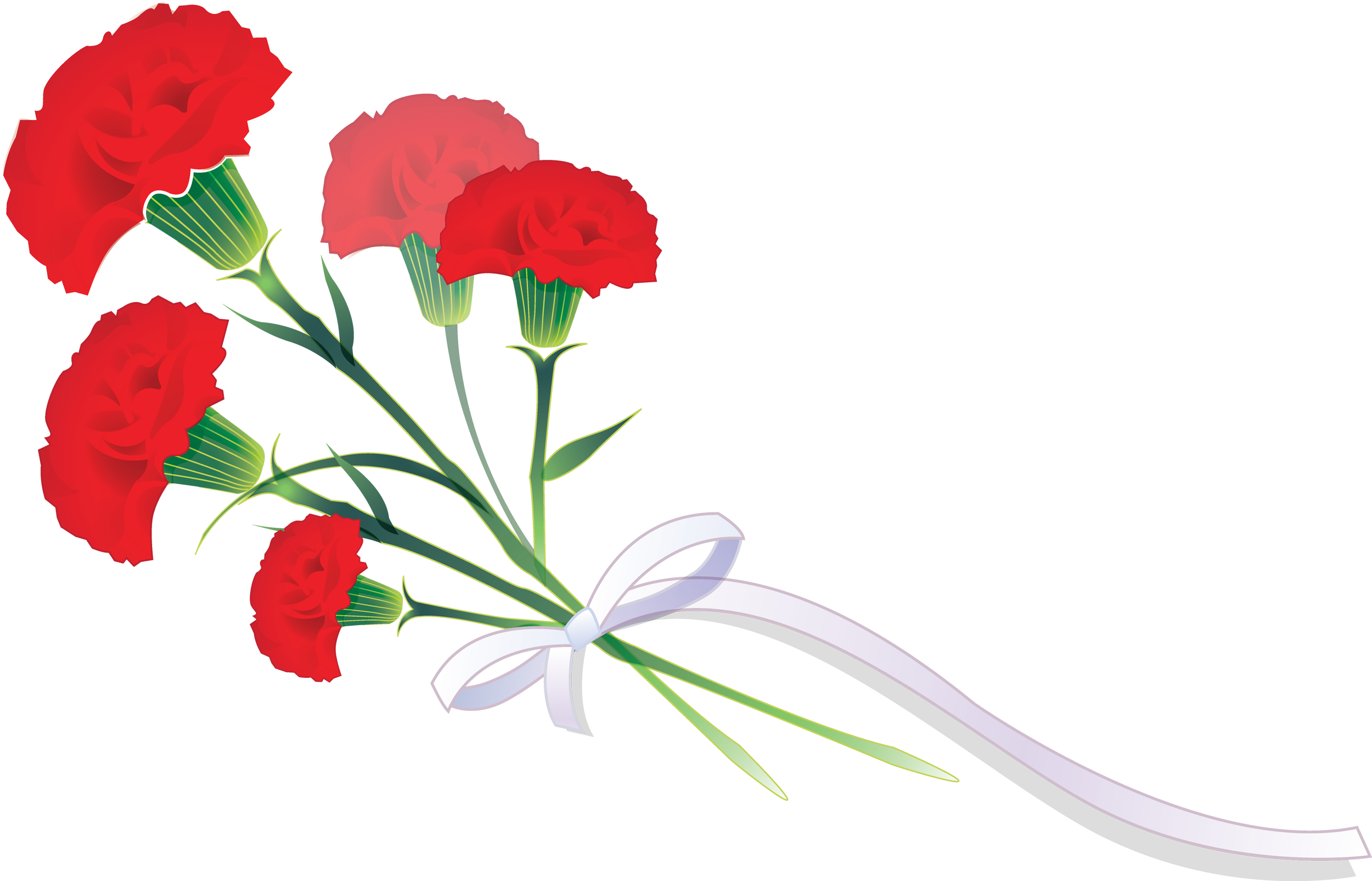 Cut Flowers Carnation Garden Roses Plant - Cut Flowers Carnation Garden Roses Plant (2500x1604)