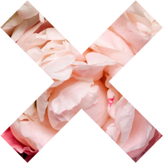 Transpartent Tumblr - Pink Tumblr X Png (500x500)