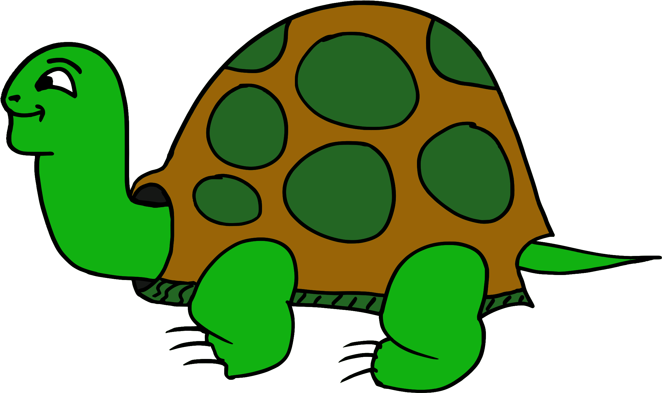 Pictures Of A Cartoon Turtle 7, Buy Clip Art - Animal De Dessin Animé.