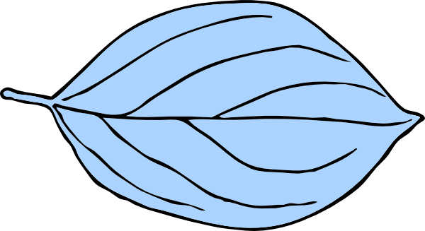 Oval Outline Clip Art - Stage Of Butterfly Cartoon (600x327)