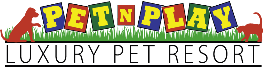 Pet N Play Luxury Pet Resort - Pet N Play Logo (853x224)