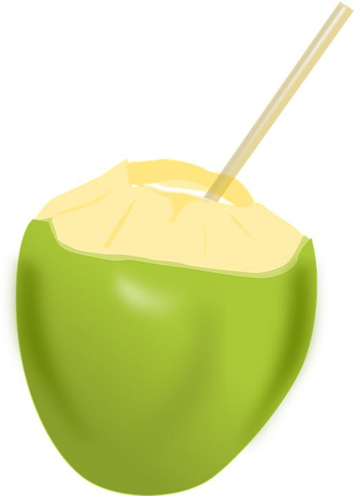 Fruit Punch Cliparts 8, - Coconut Clip Art (517x720)
