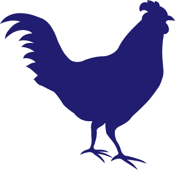 Foosackly's Chicken (355x345)