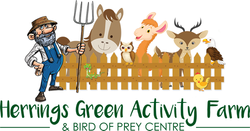 Hgf Logo - Herrings Green Activity Farm (500x262)
