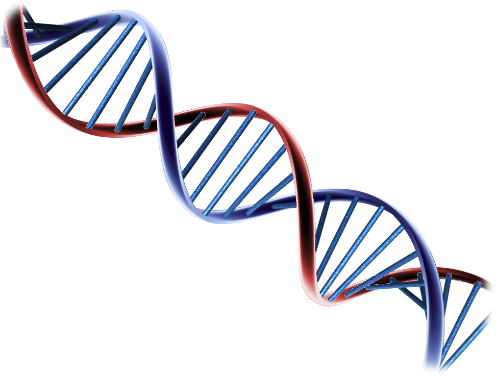 Helix2 - Psa And Prostate Cancer Research (1024x768)