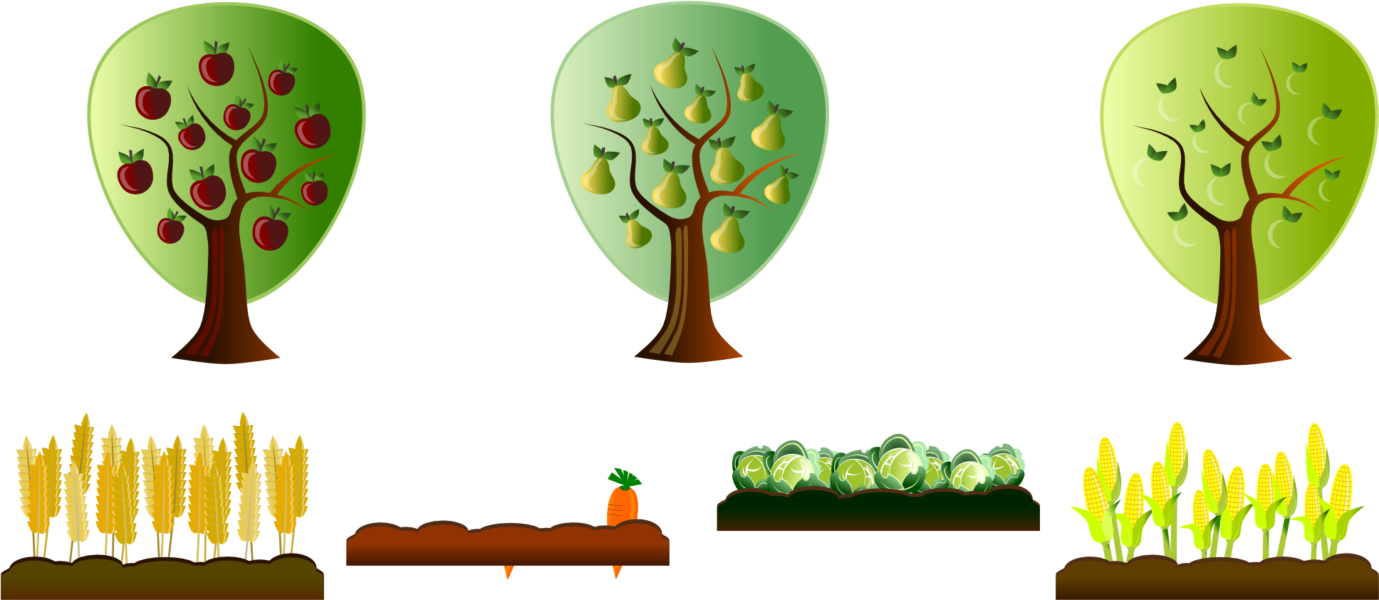 Farm Crop Clipart - Farming Clipart Transparent Crops (1969x882)