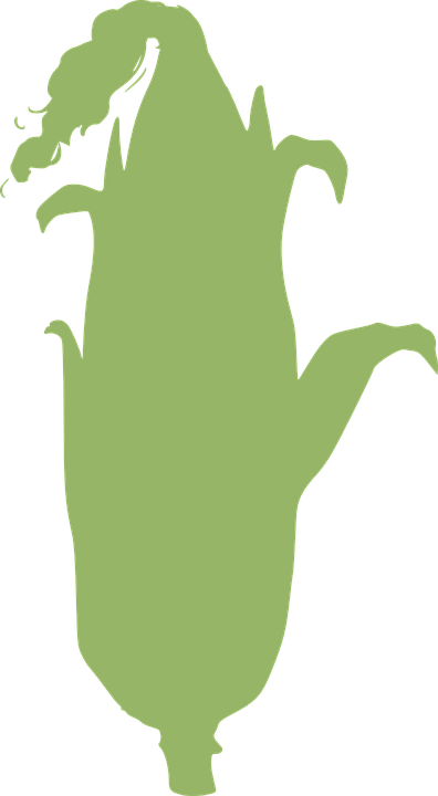 Farming Cliparts 17, - กราฟฟิก พื้นที่ สี เขียว (396x720)