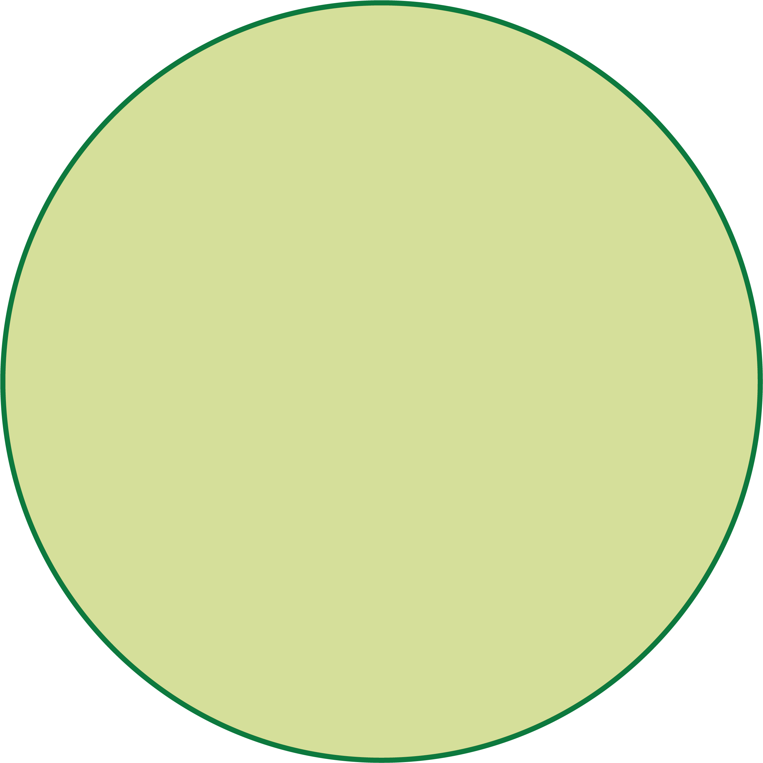 Картинка круга. Салатовый круг. Зелёный кружок на прозрачном фоне. Светло зеленый кружок.
