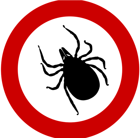 Wir Beraten Sie Gerne Zum Thema Vorbeugung, Schutz, - 30 Km H Png (640x580)