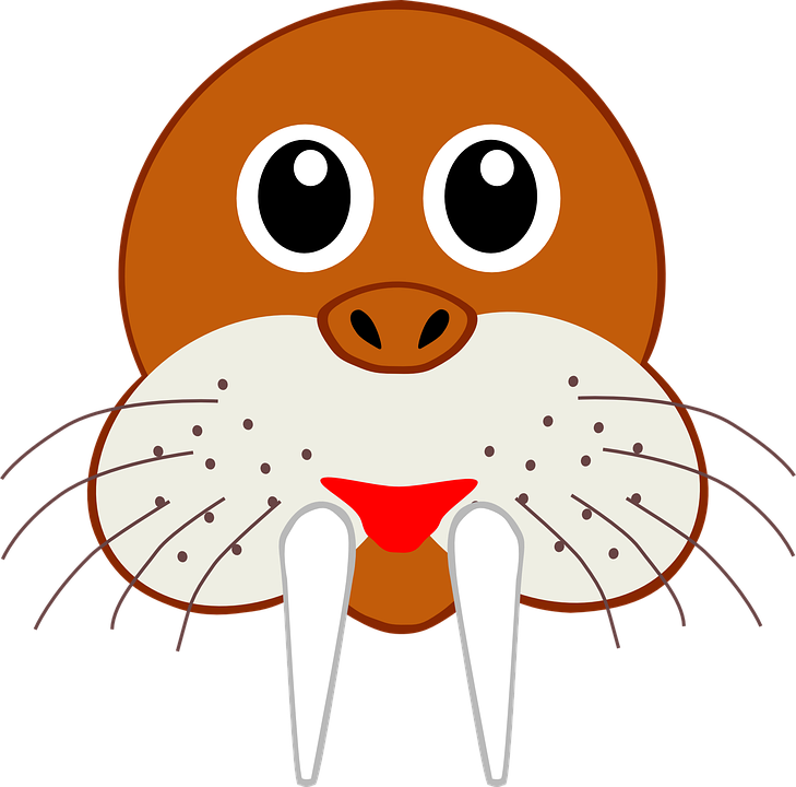 Jellyfish Outline 18, Buy Clip Art - Mors Głowa (729x720)