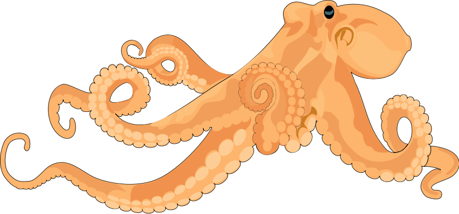 Octopus Clipart Realistic - Transparent Octopus Art (900x421)