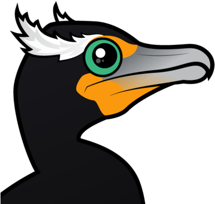 About The Double-crested Cormorant - Double Crested Cormorant Clipart (440x440)