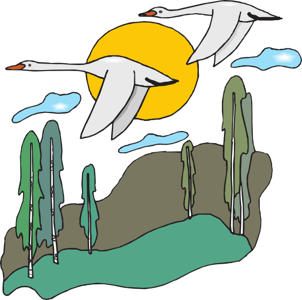 Migration Of Birds Cartoon (600x595)