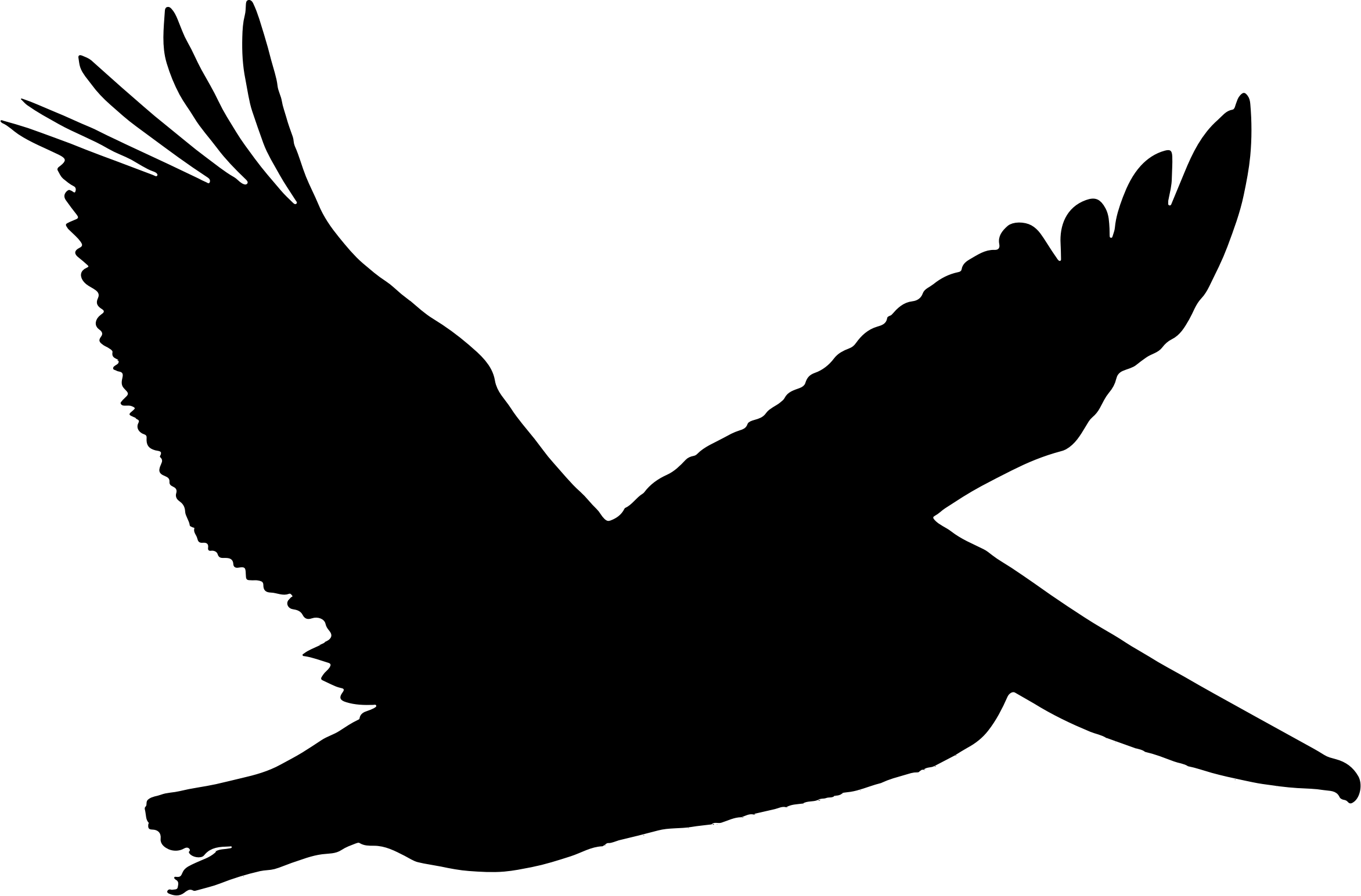 Pelican Clipart Transparent - Pelican Silhouette Png (2344x1545)