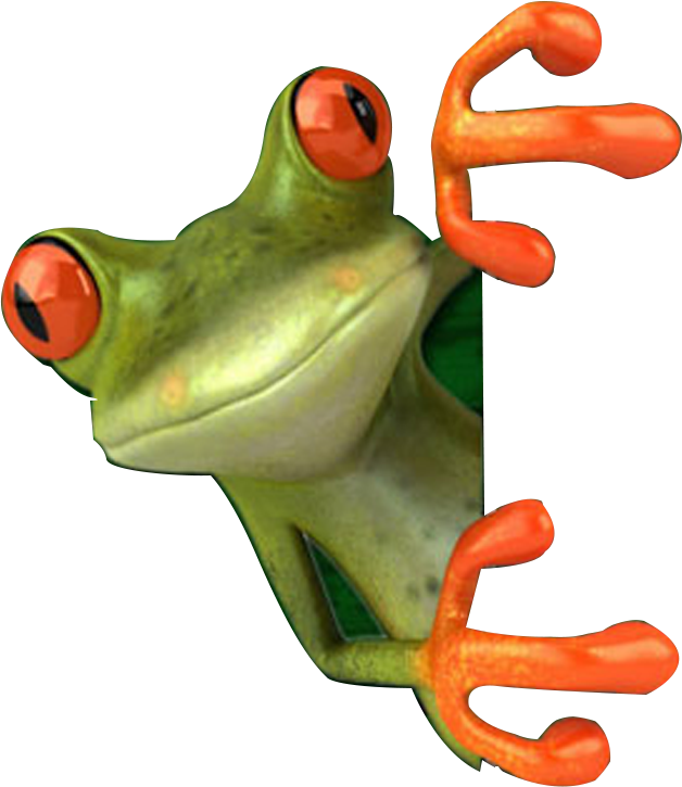 Welcome To Crazy Frogs - Frog Dj Png (628x725)