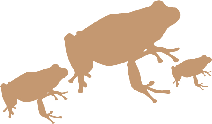 Family - Cool Realistic Toad Sticker (703x414)
