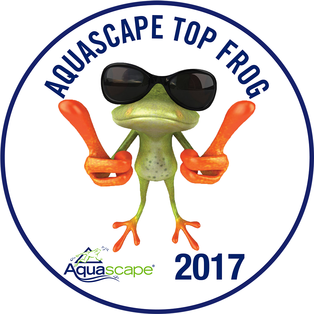 Jardinaquadesign Aquascape Topfrog - Frog Thumbs Up (1000x1097)