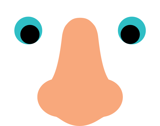 You Are Always Looking At Your Nose, Your Brain Just - Duck (1000x1000)