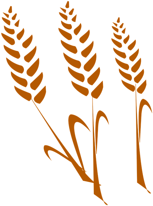 Wheat Vector 23, Buy Clip Art - Wheat (540x720)