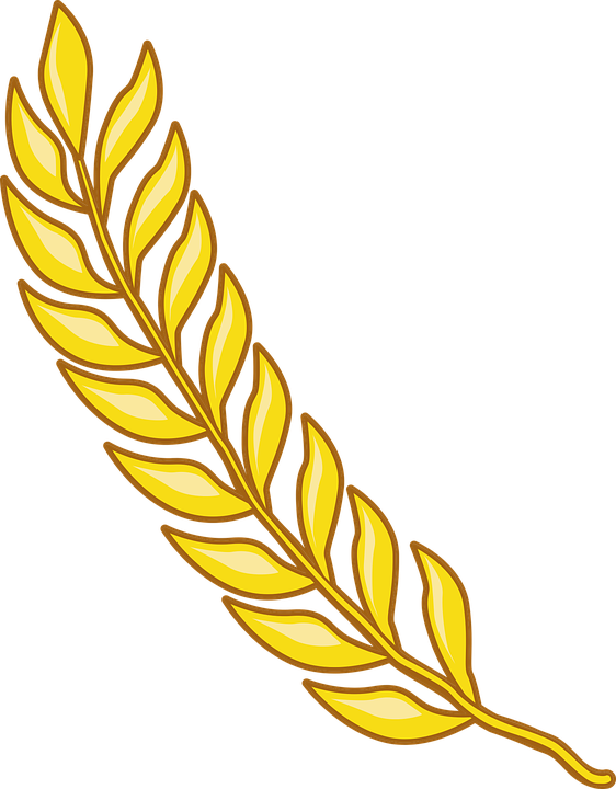 Free Wheat Vector 28, - Paddy Clipart (562x720)