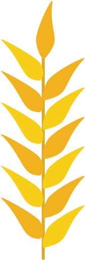 Image Result For Wheat Vector - Dessin Épi De Blé (512x512)