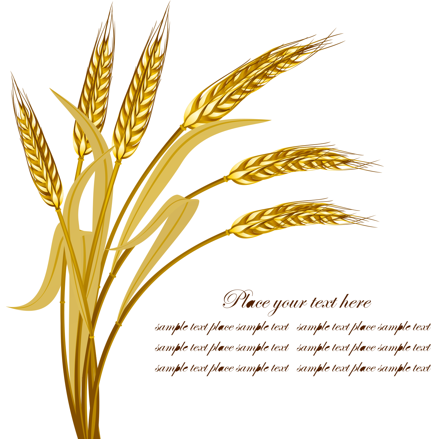Wheat Harvest Crop - Wheat Vector Png (1560x1589)