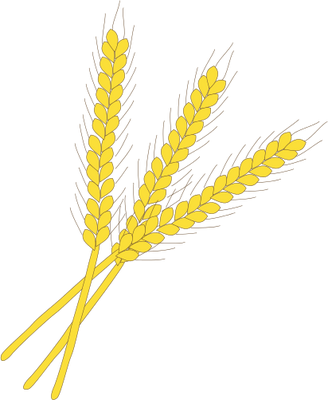 Wheat Svg - Wheat Symbol (328x400)