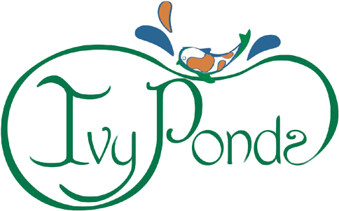 Water Features, Fish Ponds, Waterfalls, Fountains - Ivy Ponds (500x311)