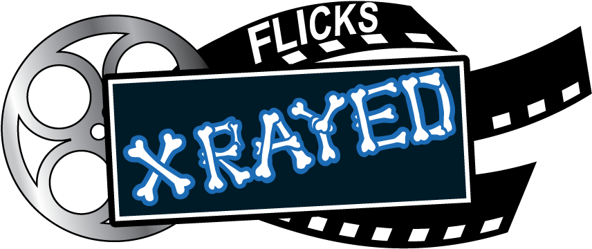 Baner Pirate Party Z Materiału (911x577)