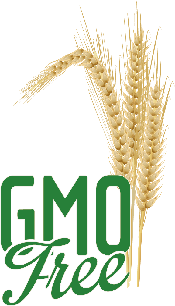 Emmer Logo Clip Art - Emmer Logo Clip Art (1135x1134)