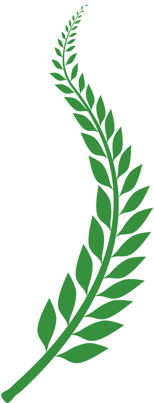 Folha De Trigo Png (640x1280)