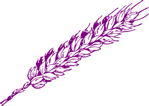 Wheat Clipart Black And White Png (600x430)