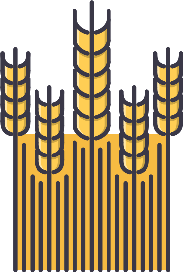 Wheat Vector Design - Agriculture (550x550)