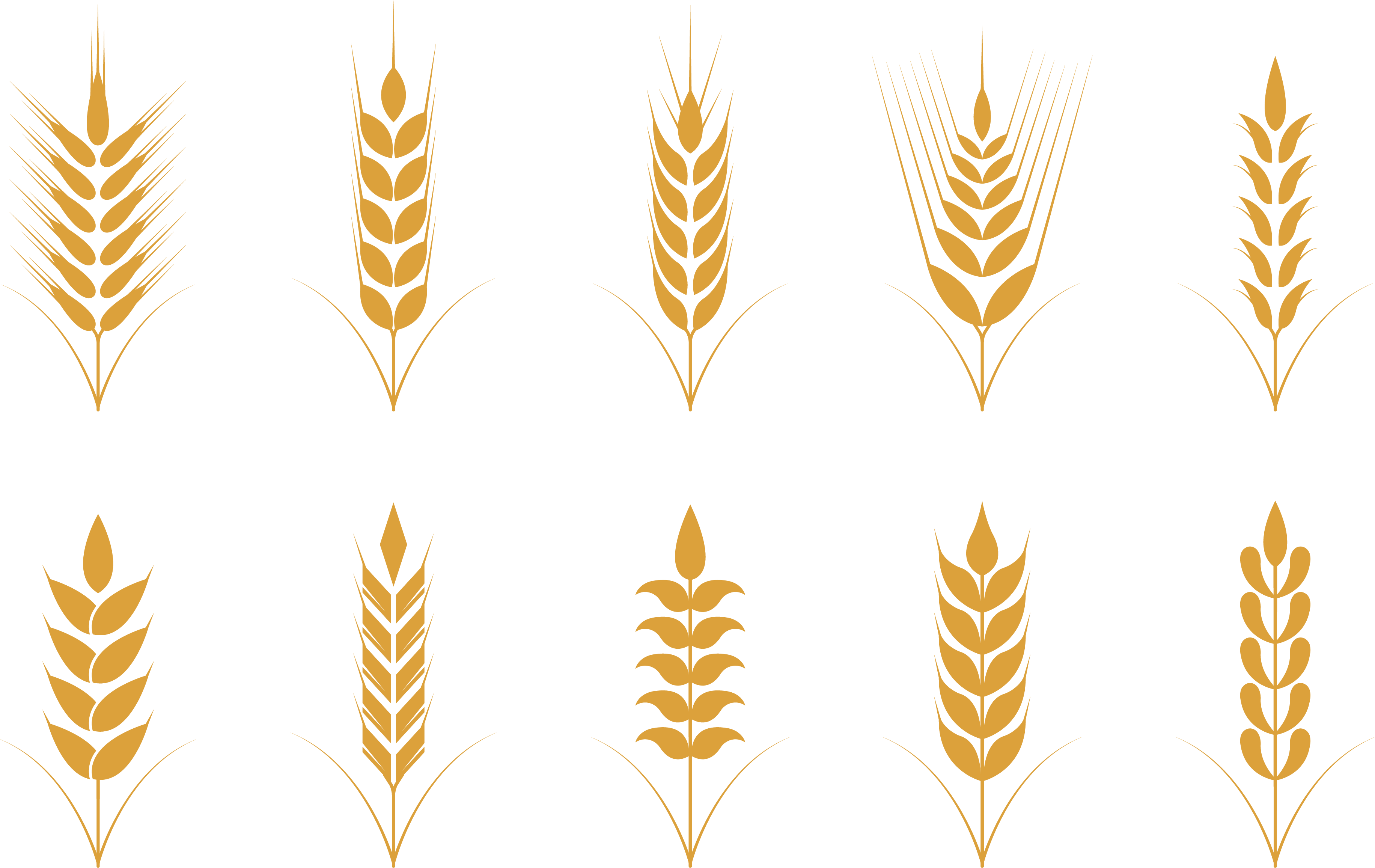 Oat Cereal Wheat Icon - Oat Vector (3898x2953)