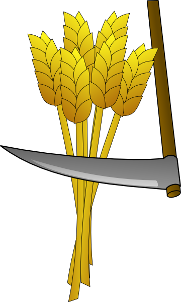 Wheat Clip Art At Mzayat - Crops In Ancient Greece (360x599)