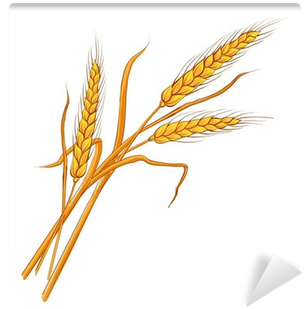 Mural De Parede Ears Of Wheat - Clipart Ramo De Trigo (400x400)