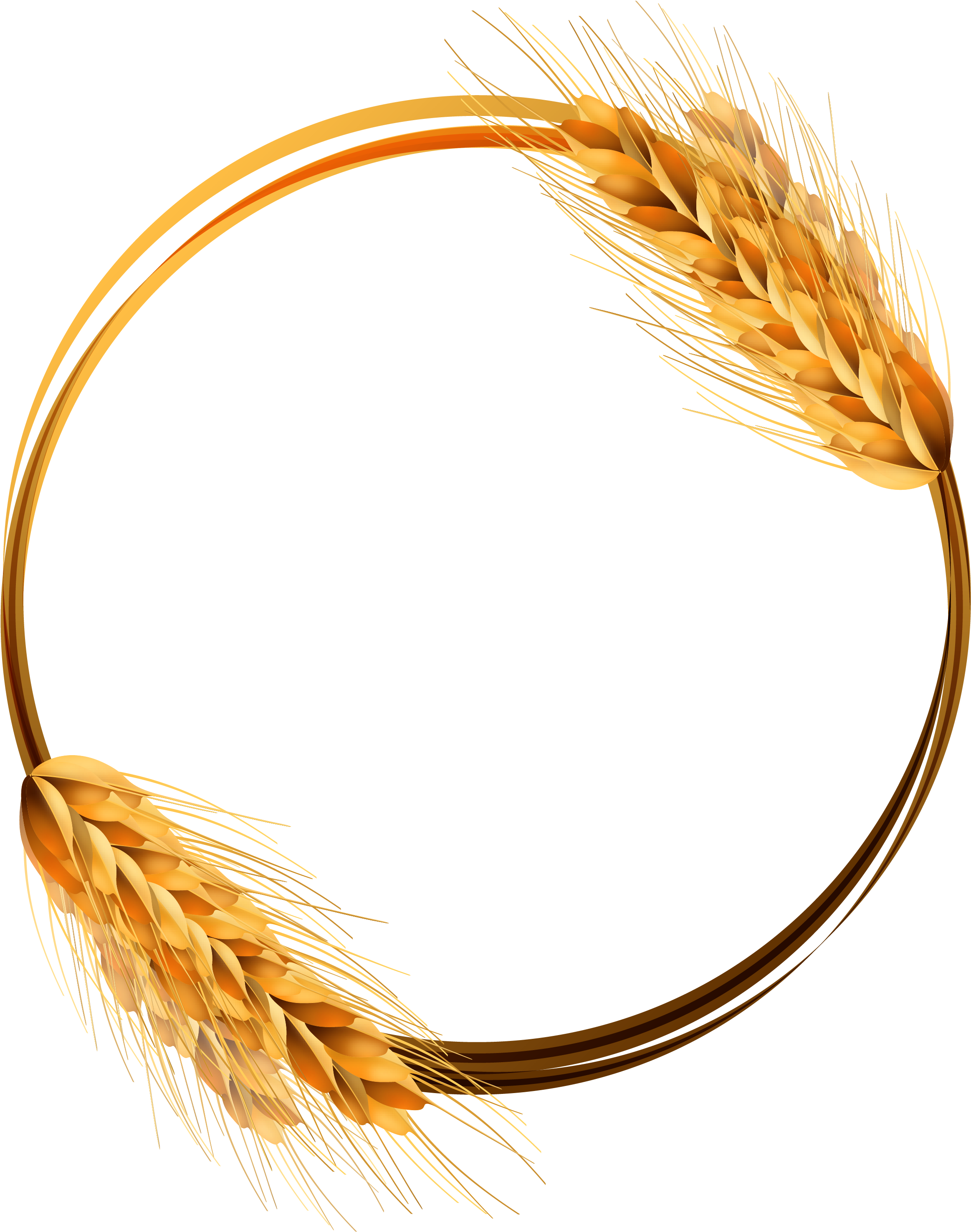 Common Wheat Ear Crop - Wheat Circle Vector Png (2533x3246)
