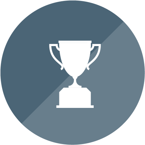 Bem Blog Icons 25112014 35 - Trophy (494x494)